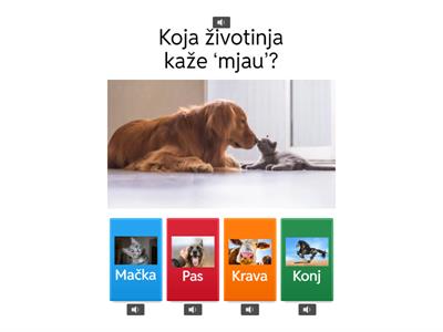 Učenje uz šarene animacije - kviz za decu