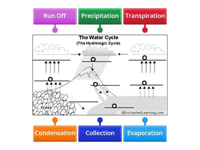 Water Cycle Diagram