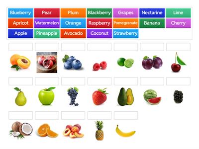 Fruit