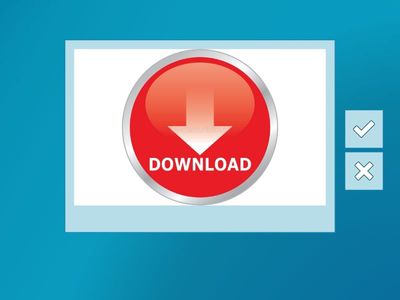 VOCABULARY NOVEMBER.