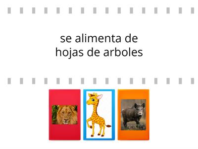 Clasificación de los animales segun su alimentación