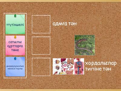 Кружевые шұлықтар