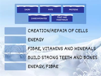 FOOD GROUPS AND ITS FUNCTIONS