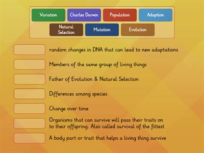 Evolution & Natural Selection