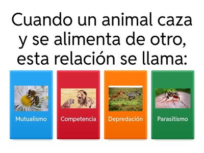 Relaciones Ecologicas 
