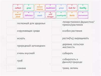 Solutions Elementary 3rd 4C