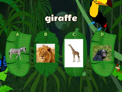 Animals quiz