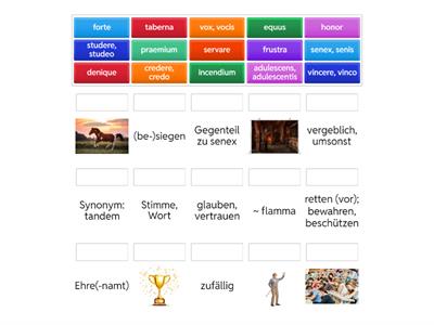 Wortschatz 7 (Adeamus C1)