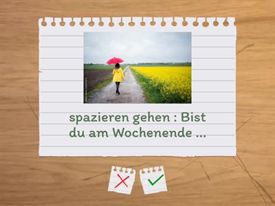 Wochenende:  Perfekt A2  - Fragen