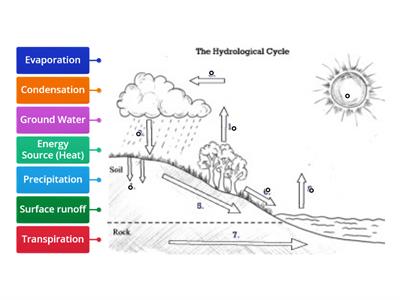 Water Cycle