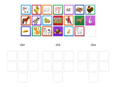 Haustiere (Definite Articles)