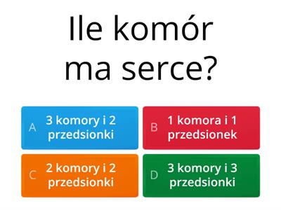 układ krwionośny