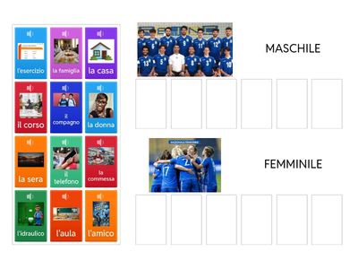 Maschile o femminile? Abbina.