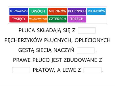 UKŁAD ODDECHOWY