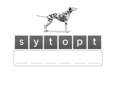 Poptropica 3, Unit 3, Adjectives