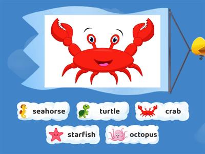 Sea animals sorting (3-4)