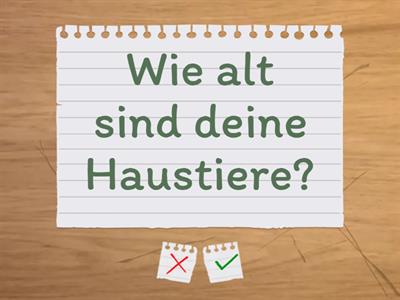 Mündliche Kommunikation - Flash Cards