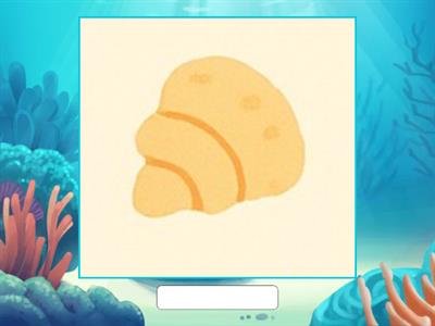  Sea Adventure Vocabulary