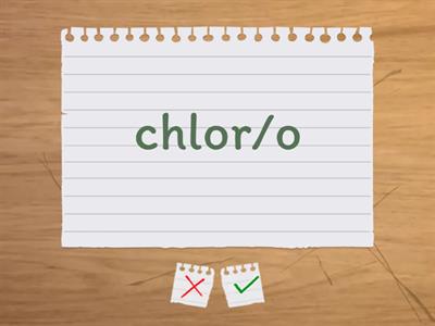 Integumentary System Mormpheme Flashcards