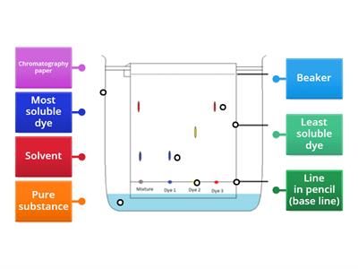 Chromatography Diagram