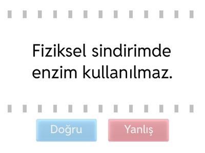 Sindirim sistemi doğru yanlış