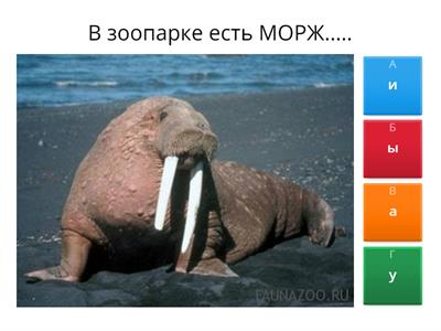 ЖИ/ШИ  и ЧА/ЩА