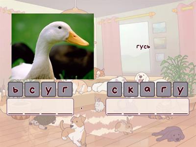 ! Назвы птушак (падвышаны ўзровень)