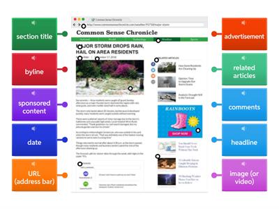 Label the Parts of an Online Article