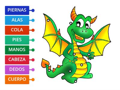 PARTES DEL CUERPO DRAGON