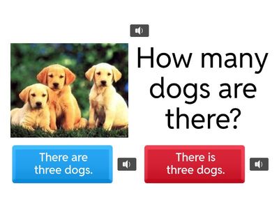 There is/ There are - Quiz