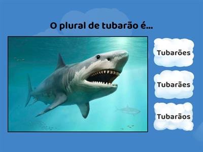 Plural