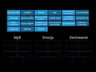 Myśl-Emocja-Zachowanie