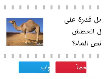 التكيف ثالث ابتدائي 3