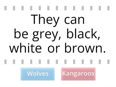 AS2 U1 Wolves VS Kangaroos 