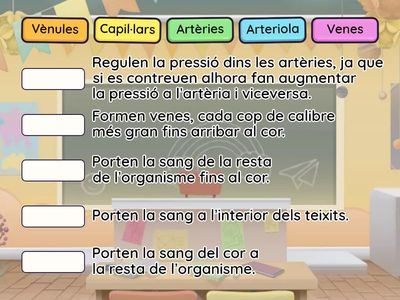 Exercicis vasos sanguinis