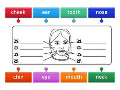 Ch4 Act5 Parts of the body from page 65