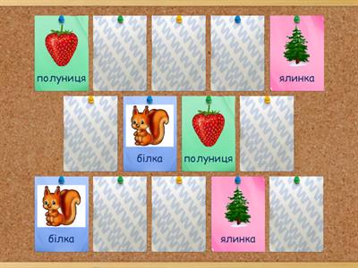 Знайди пари