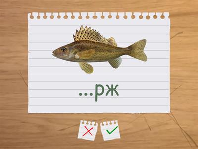 Буквосполучення ЙО та ЬО