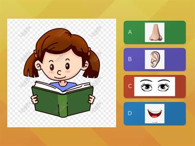 fungsi bagian bagian tubuh