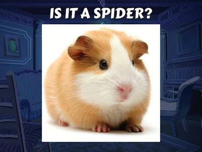   Is it a...? 2nd grade SK 2