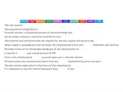 CAX KS5  What is is Link reaction and were does it occur