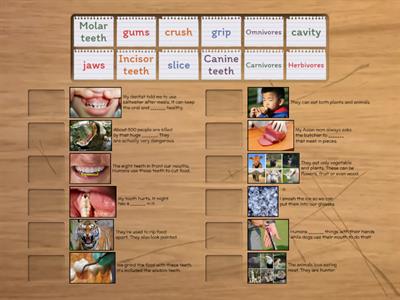 Oxford Discover 5: Unit 3 What are teeth for?