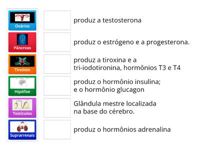 SISTEMA ENDÓCRINO