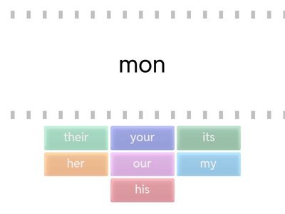 possessive adjectives