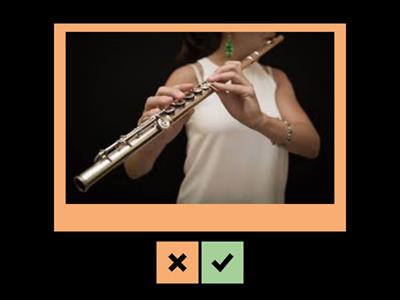 Aerofoni: strumenti a fiato