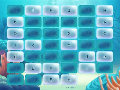 Capital and Lower Case Match