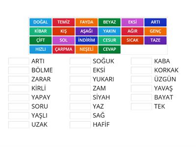 ZIT ANLAMLI KELİMELERİ EŞLEŞTİRELİM