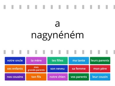 La famille, les adjectifs possessifs