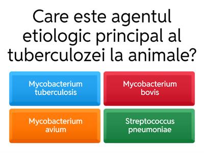 Tuberculoza la animale