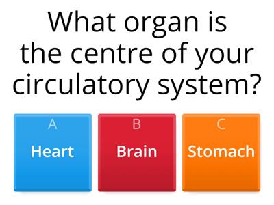 Circulatory system